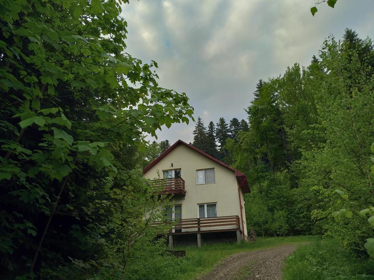 Soaptele Padurii & Casuta Din Padure Сучевица Экстерьер фото